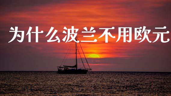 为什么波兰不用欧元_https://m.15771688.com_期货手续费_第1张