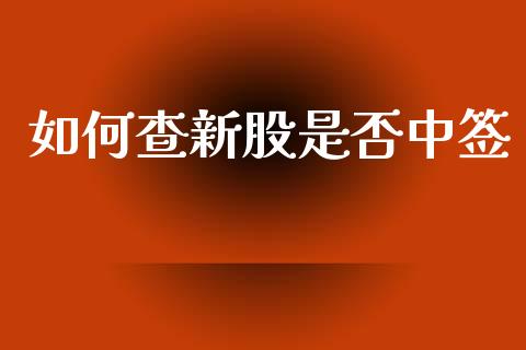 如何查新股是否中签_https://m.15771688.com_期货手续费_第1张