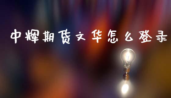 中辉期货文华怎么登录_https://m.15771688.com_美国道指_第1张