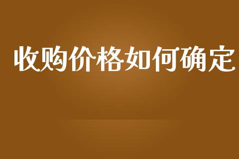 收购价格如何确定_https://m.15771688.com_道指实时行情_第1张