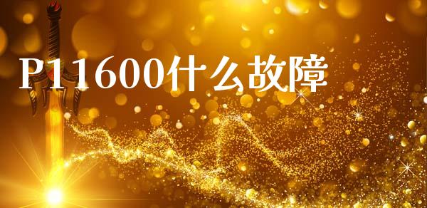 P11600什么故障_https://m.15771688.com_期货手续费_第1张