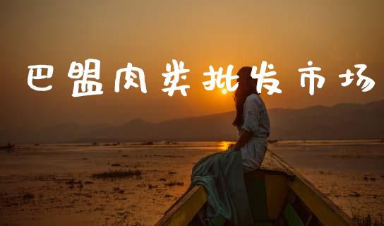 巴盟肉类批发市场_https://m.15771688.com_期货开户_第1张