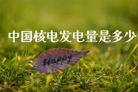 中国核电发电量是多少_https://m.15771688.com_美国道指_第1张