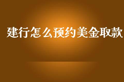 建行怎么预约美金取款_https://m.15771688.com_道指实时行情_第1张