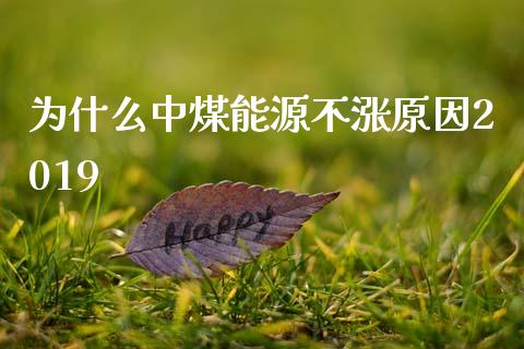 为什么中煤能源不涨原因2019_https://m.15771688.com_期货开户_第1张