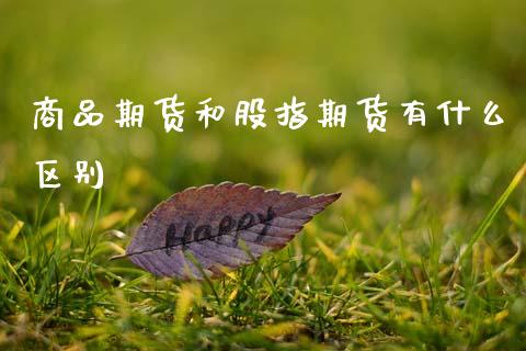 商品期货和股指期货有什么区别_https://m.15771688.com_美国道指_第1张