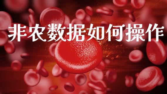 非农数据如何操作_https://m.15771688.com_道指实时行情_第1张