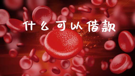 什么可以借款_https://m.15771688.com_期货手续费_第1张