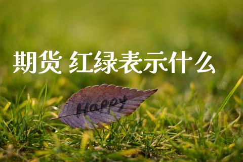 期货 红绿表示什么_https://m.15771688.com_美国道指_第1张