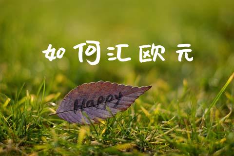 如何汇欧元_https://m.15771688.com_期货开户_第1张