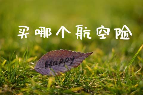买哪个航空险_https://m.15771688.com_道指实时行情_第1张