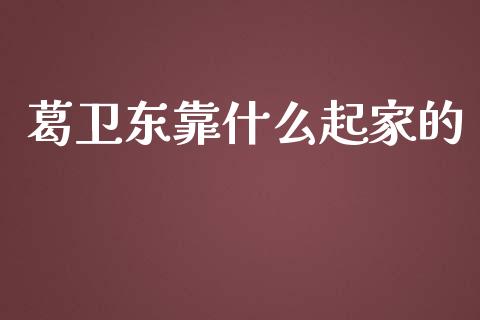 葛卫东靠什么起家的_https://m.15771688.com_道指实时行情_第1张