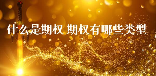 什么是期权 期权有哪些类型_https://m.15771688.com_道指实时行情_第1张