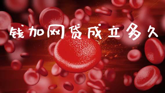 钱加网贷成立多久_https://m.15771688.com_道指实时行情_第1张