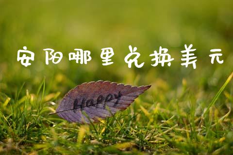 安阳哪里兑换美元_https://m.15771688.com_道指实时行情_第1张