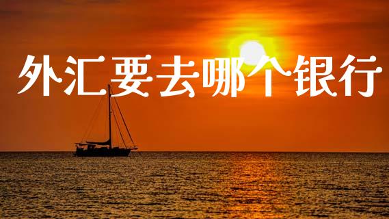 外汇要去哪个银行_https://m.15771688.com_道指实时行情_第1张