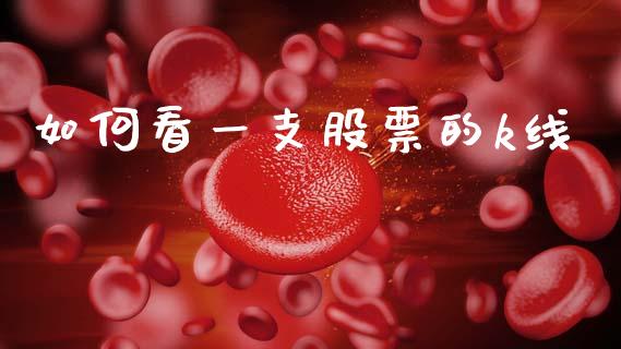 如何看一支股票的k线_https://m.15771688.com_道指实时行情_第1张