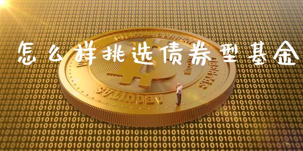 怎么样挑选债券型基金_https://m.15771688.com_道指实时行情_第1张