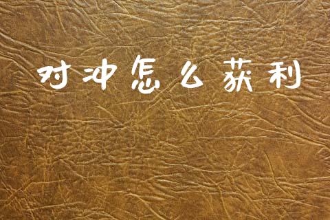 对冲怎么获利_https://m.15771688.com_道指实时行情_第1张