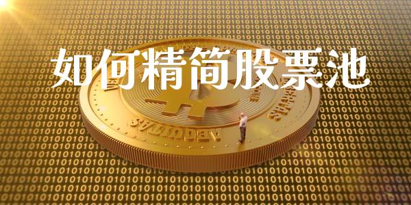 如何精简股票池_https://m.15771688.com_期货手续费_第1张