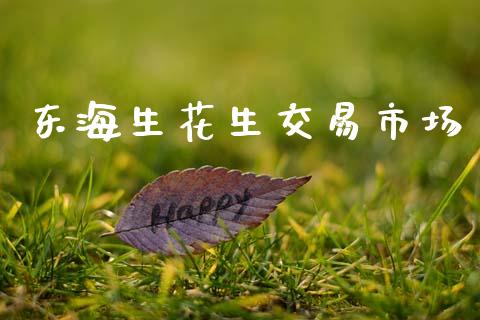 东海生花生交易市场_https://m.15771688.com_美国道指_第1张