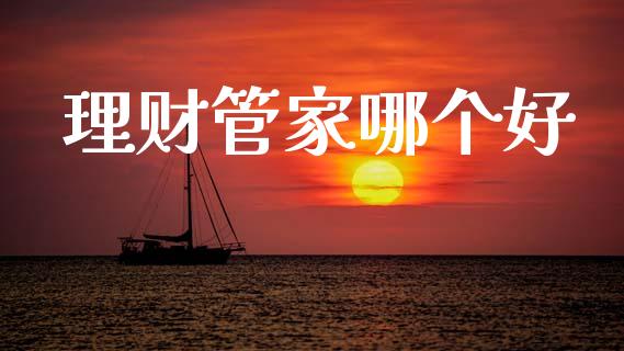 理财管家哪个好_https://m.15771688.com_期货手续费_第1张