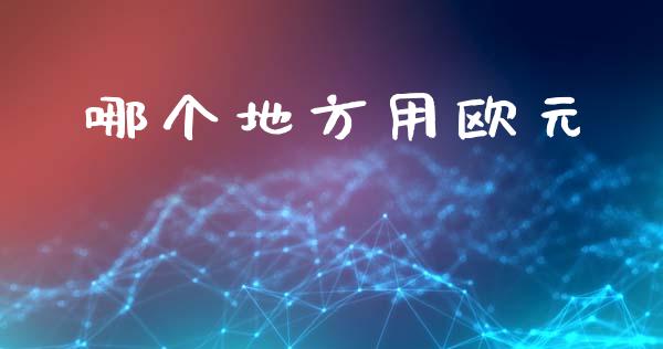 哪个地方用欧元_https://m.15771688.com_期货开户_第1张