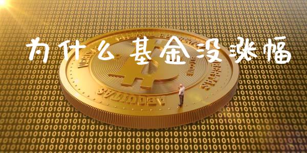为什么基金没涨幅_https://m.15771688.com_期货手续费_第1张
