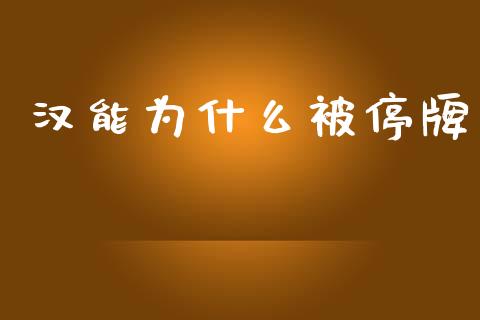 汉能为什么被停牌_https://m.15771688.com_期货手续费_第1张