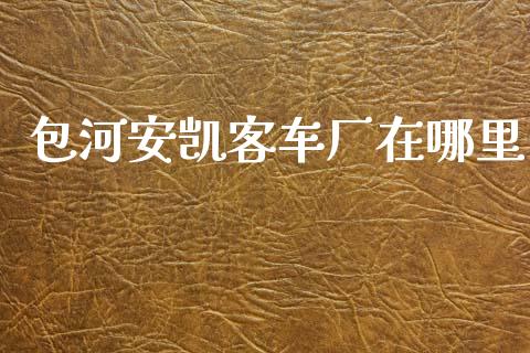 包河安凯客车厂在哪里_https://m.15771688.com_期货手续费_第1张