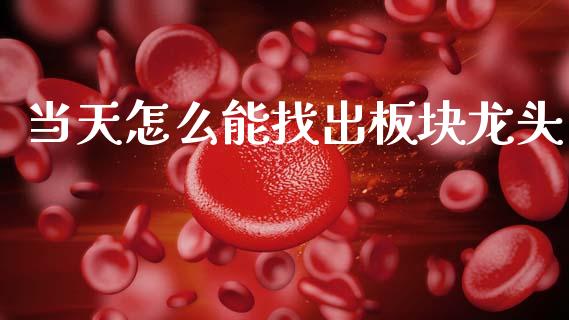 当天怎么能找出板块龙头_https://m.15771688.com_道指实时行情_第1张