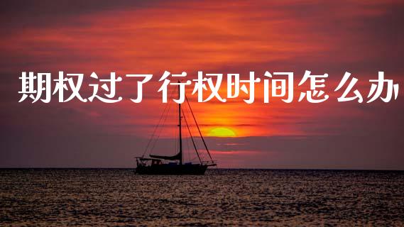 期权过了行权时间怎么办_https://m.15771688.com_道指实时行情_第1张