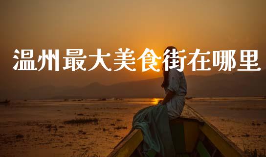 温州最大美食街在哪里_https://m.15771688.com_美国道指_第1张