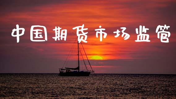 中国期货市场监管_https://m.15771688.com_期货手续费_第1张