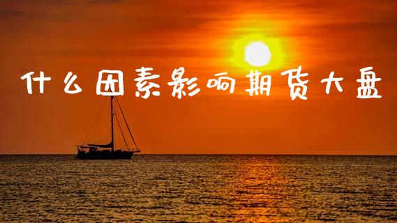 什么因素影响期货大盘_https://m.15771688.com_道指实时行情_第1张