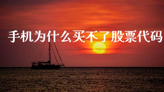 手机为什么买不了股票代码_https://m.15771688.com_期货手续费_第1张