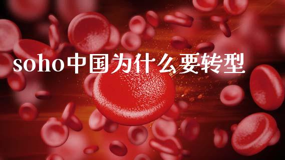 soho中国为什么要转型_https://m.15771688.com_美国道指_第1张