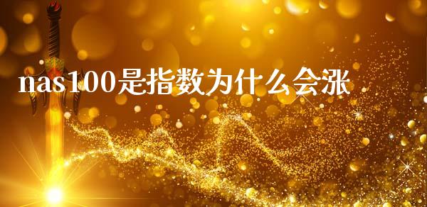 nas100是指数为什么会涨_https://m.15771688.com_期货手续费_第1张