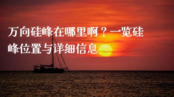 万向硅峰在哪里啊？一览硅峰位置与详细信息_https://m.15771688.com_美国道指_第1张