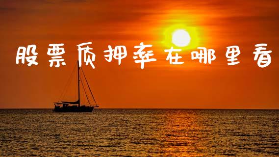 股票质押率在哪里看_https://m.15771688.com_期货手续费_第1张