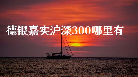 德银嘉实沪深300哪里有_https://m.15771688.com_期货开户_第1张