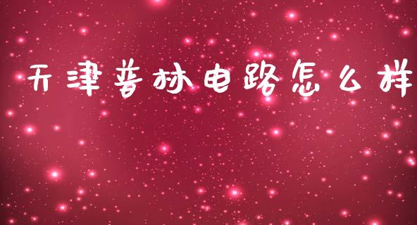 天津普林电路怎么样_https://m.15771688.com_道指实时行情_第1张