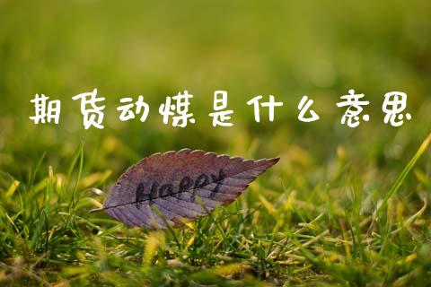 期货动煤是什么意思_https://m.15771688.com_道指实时行情_第1张