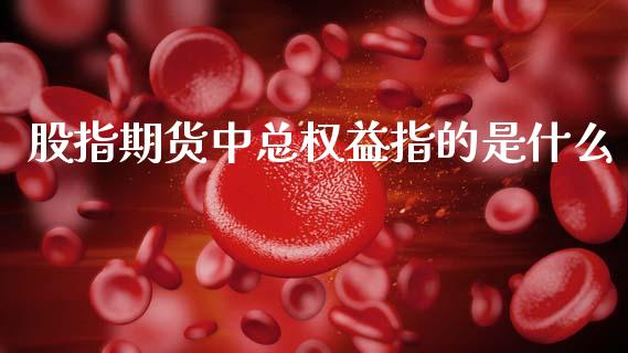 股指期货中总权益指的是什么_美国道指_第1张_期货开户_期货手续费_道指实时行情_美国道指 股指期货中总权益指的是什么_https://m.15771688.com_美国道指_第1张