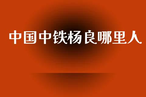 中国中铁杨良哪里人_https://m.15771688.com_美国道指_第1张