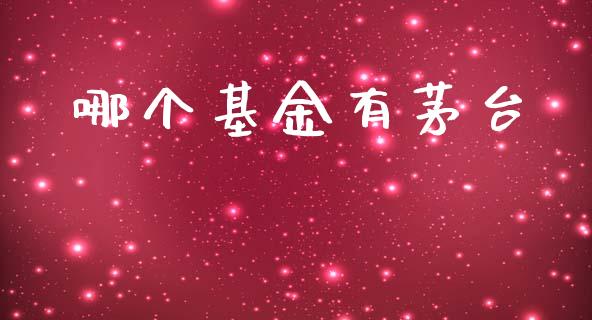 哪个基金有茅台_https://m.15771688.com_美国道指_第1张