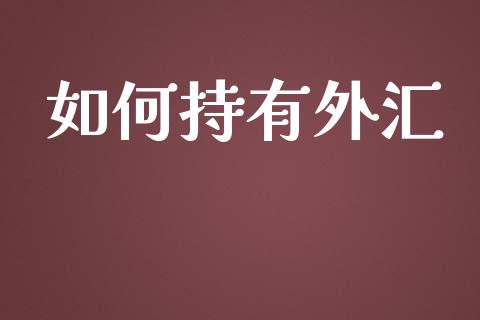 如何持有外汇_https://m.15771688.com_道指实时行情_第1张