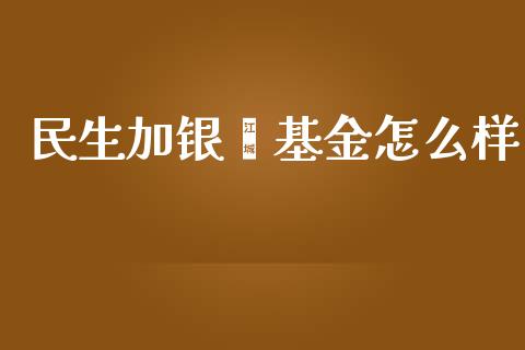 民生加银鑫基金怎么样_https://m.15771688.com_美国道指_第1张