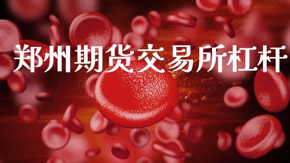 郑州期货交易所杠杆_https://m.15771688.com_期货手续费_第1张