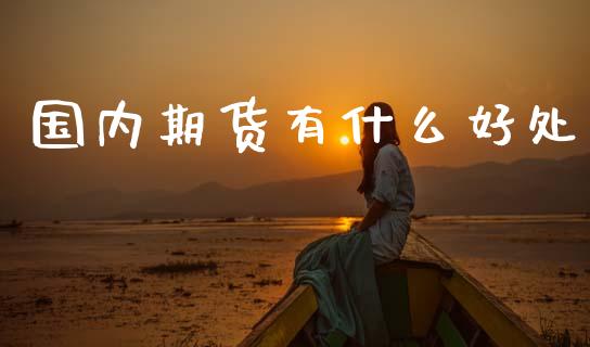 国内期货有什么好处_https://m.15771688.com_期货手续费_第1张